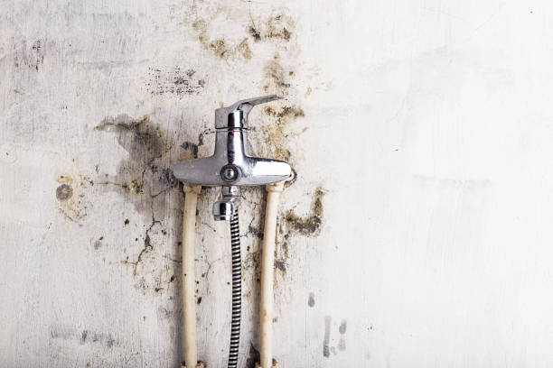 Best Commercial Mold Removal  in Pella, IA