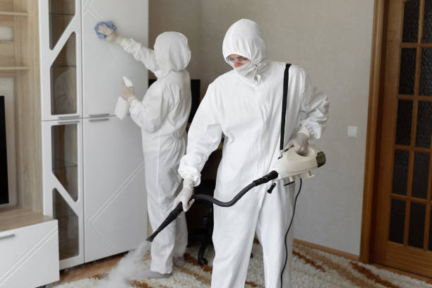 Best Mold Cleaning Services  in Pella, IA